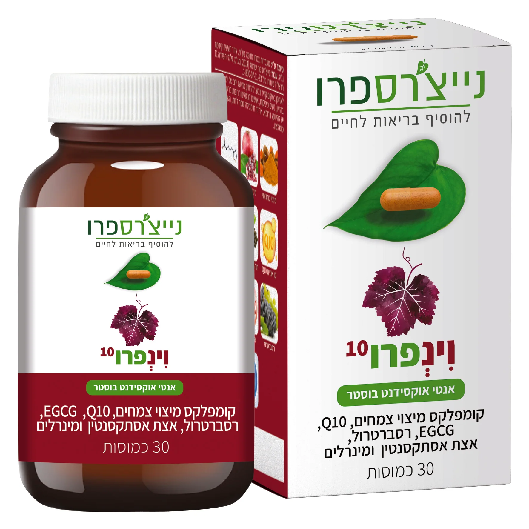 תמונת מוצר 1