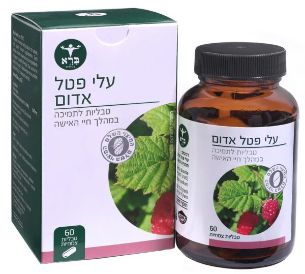 תמונת מוצר 1